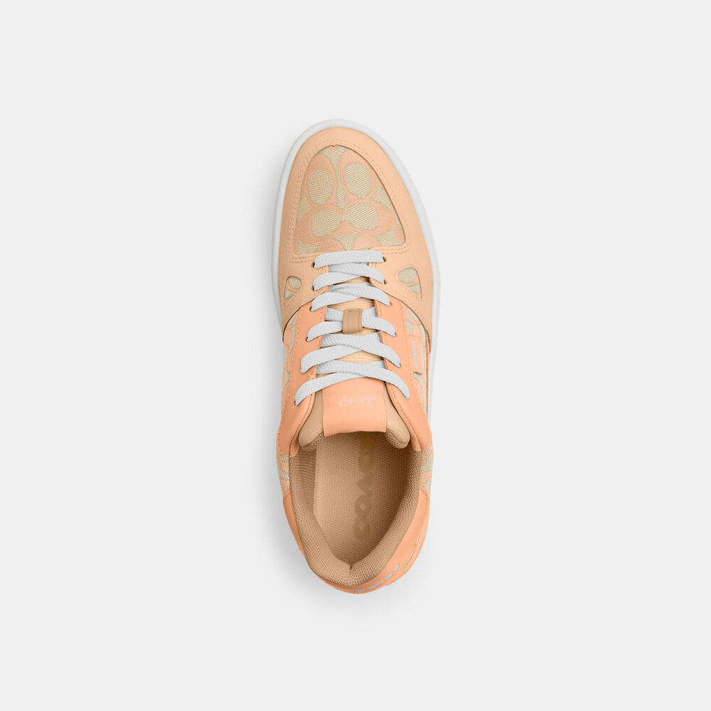 Clip Low Top Sneaker In Signature Jacquard - Picture 3 of 3
